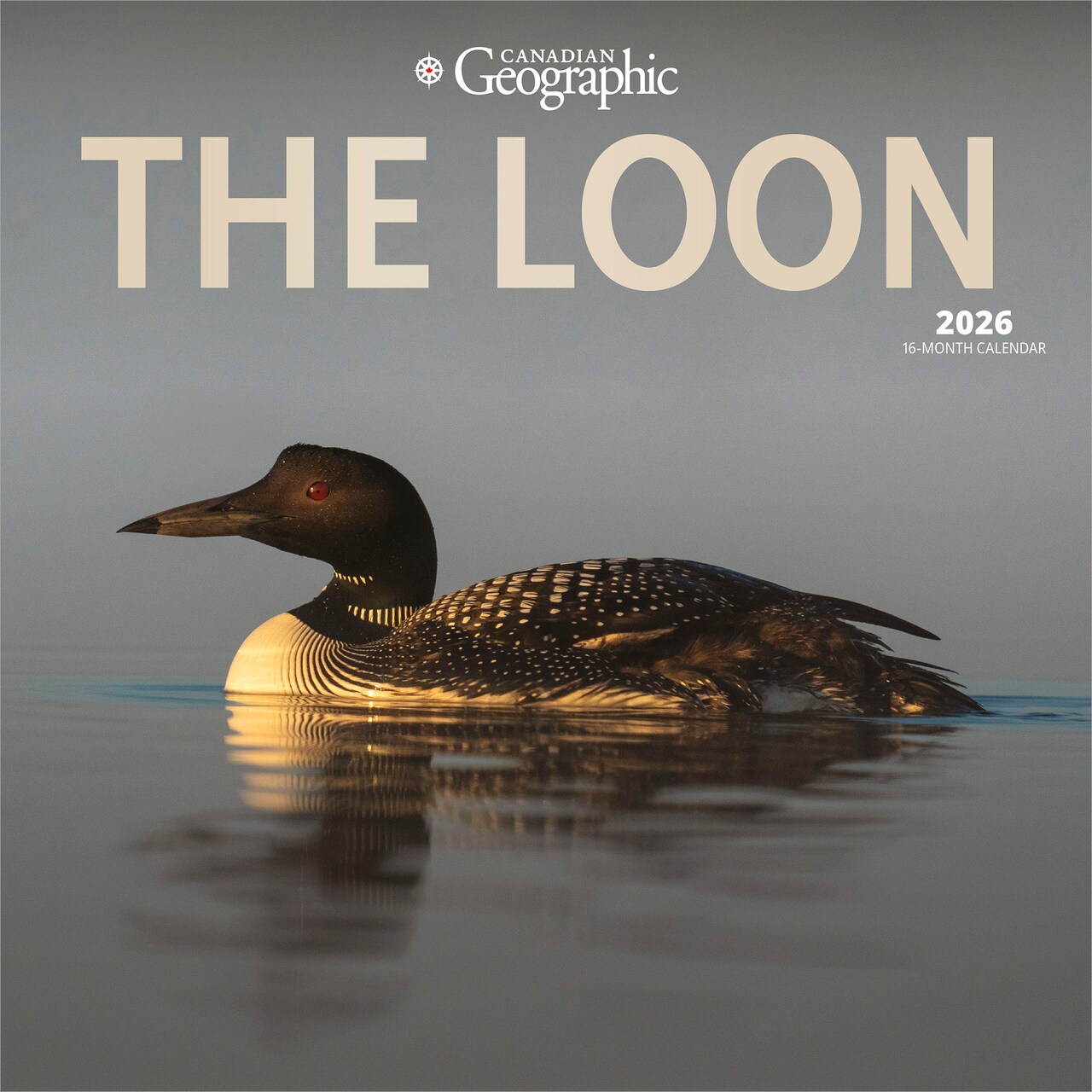 Canadian Geographic The Loon OFFICIAL | 2026 12 x 24 Inch (Hanging) Monthly Square Wall Calendar | Foil Stamped Cover